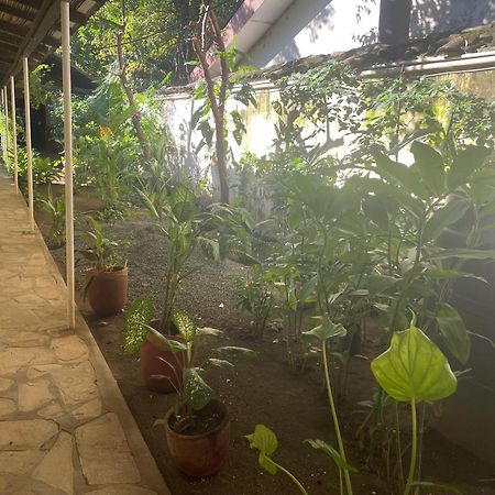 Hostal Casa Abierta León エクステリア 写真