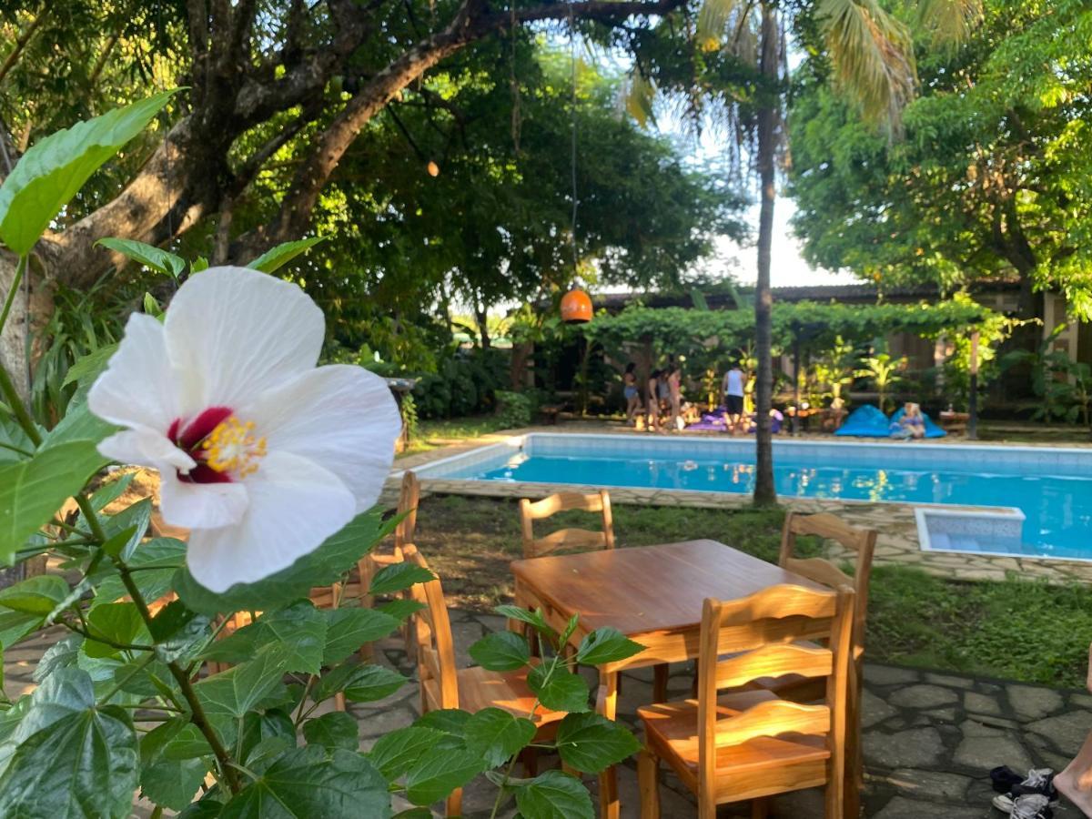 Hostal Casa Abierta León エクステリア 写真
