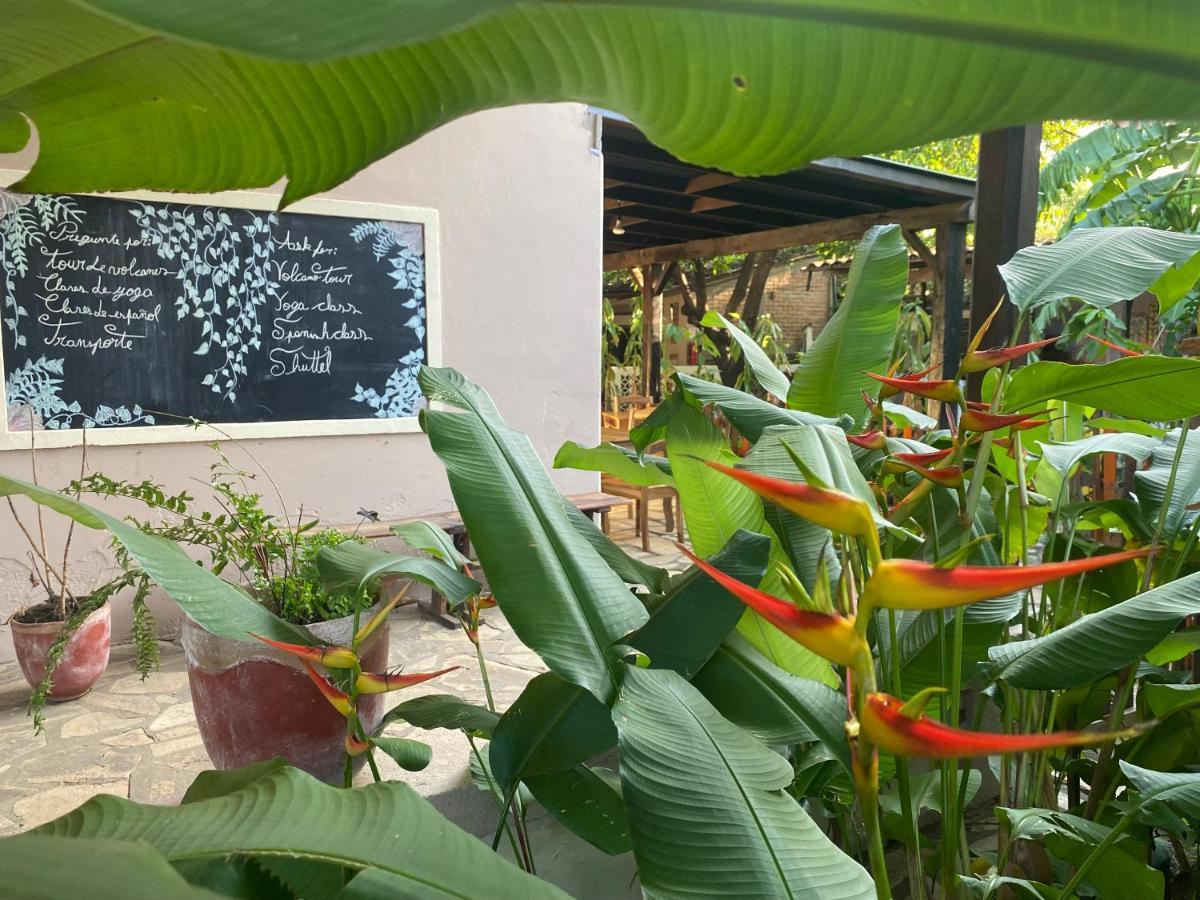 Hostal Casa Abierta León エクステリア 写真