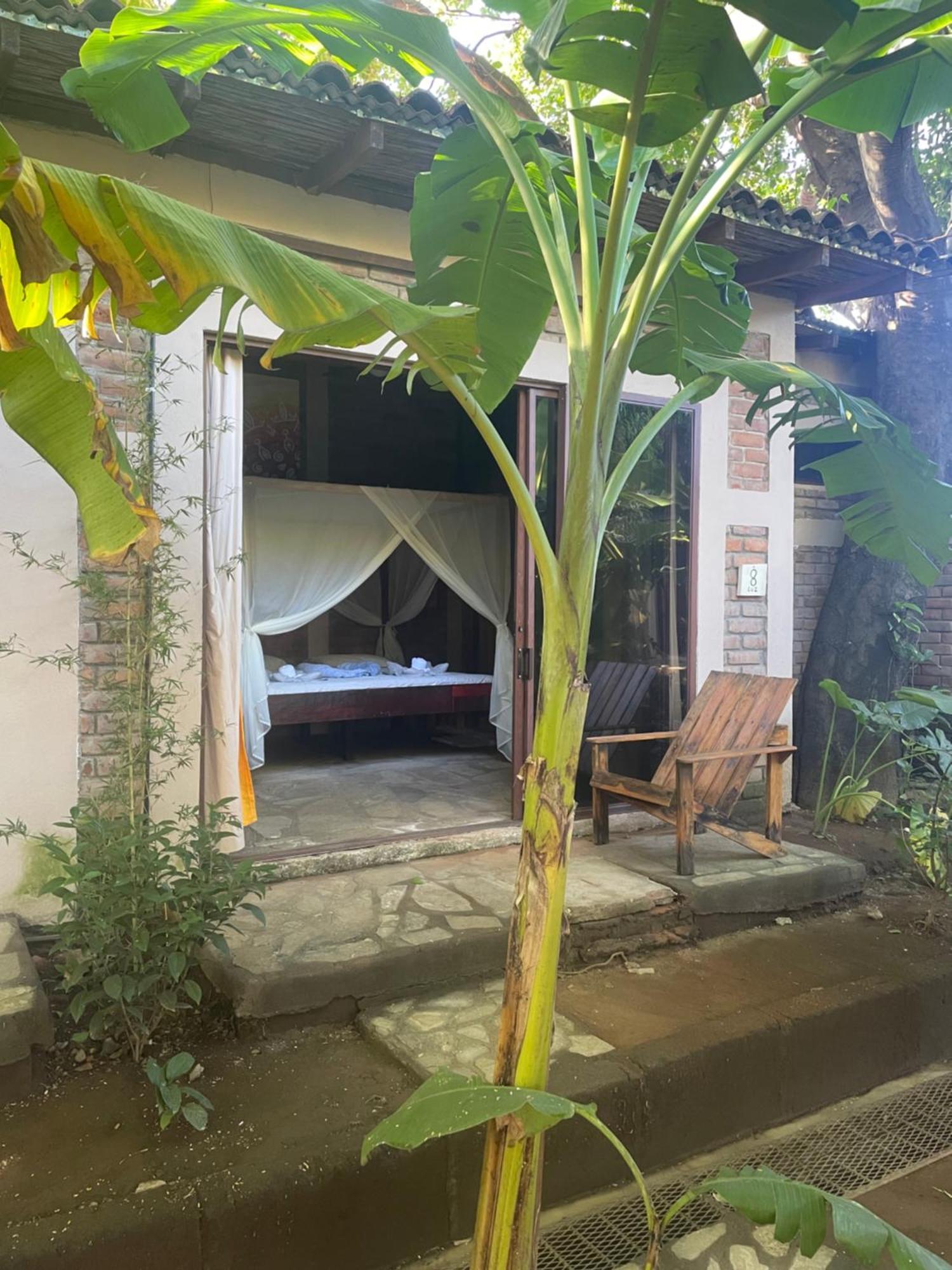 Hostal Casa Abierta León エクステリア 写真