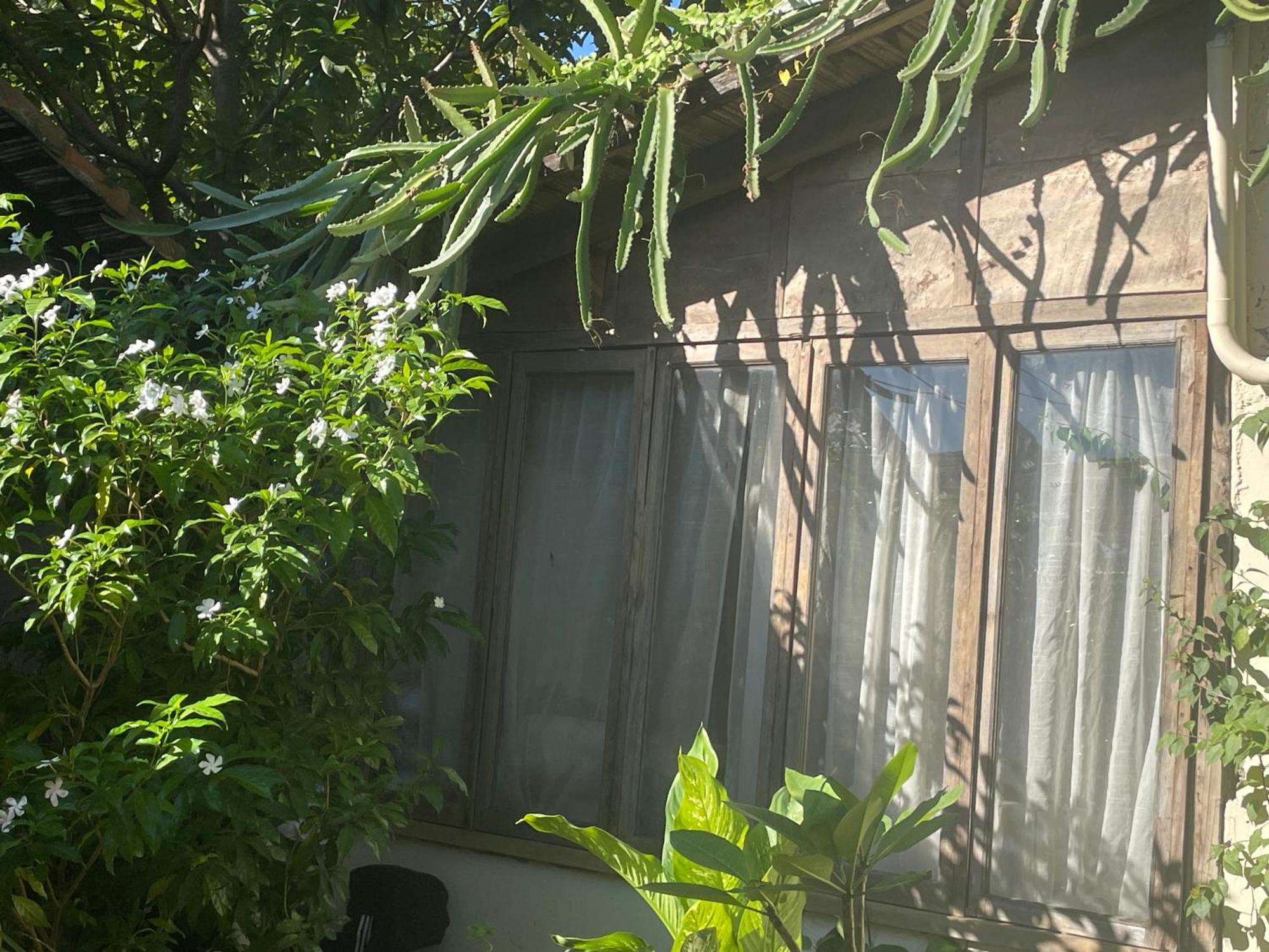 Hostal Casa Abierta León エクステリア 写真
