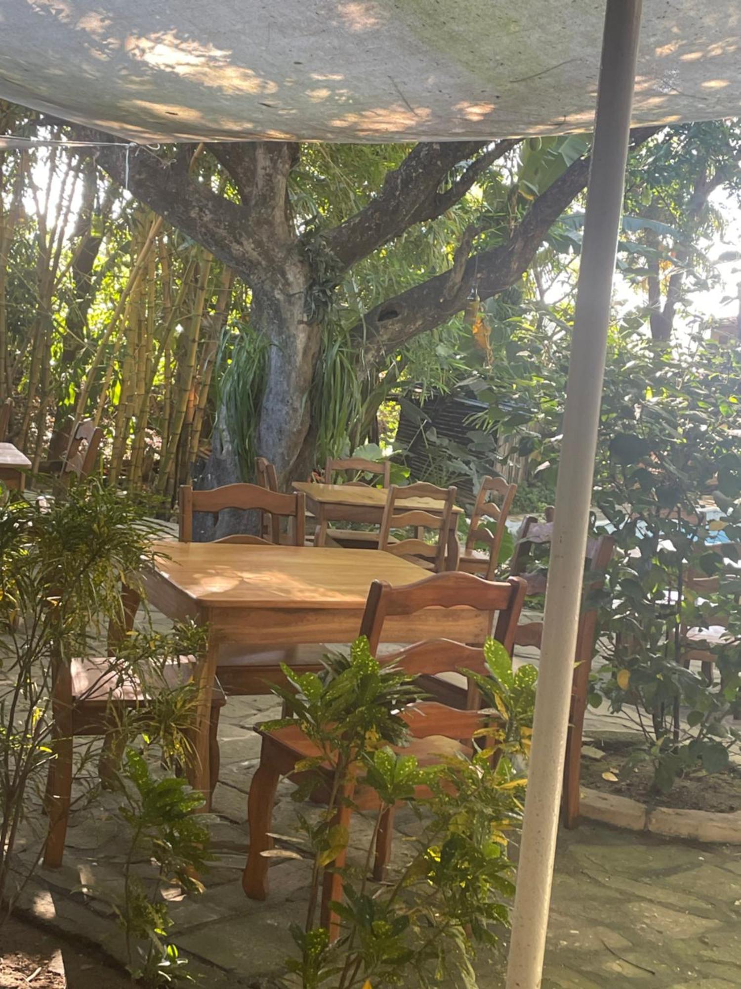 Hostal Casa Abierta León エクステリア 写真
